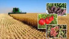 تحقیق درباره تولید محصولات کشاورزی