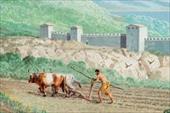 تحقیق درباره تاریخچه کشاورزی